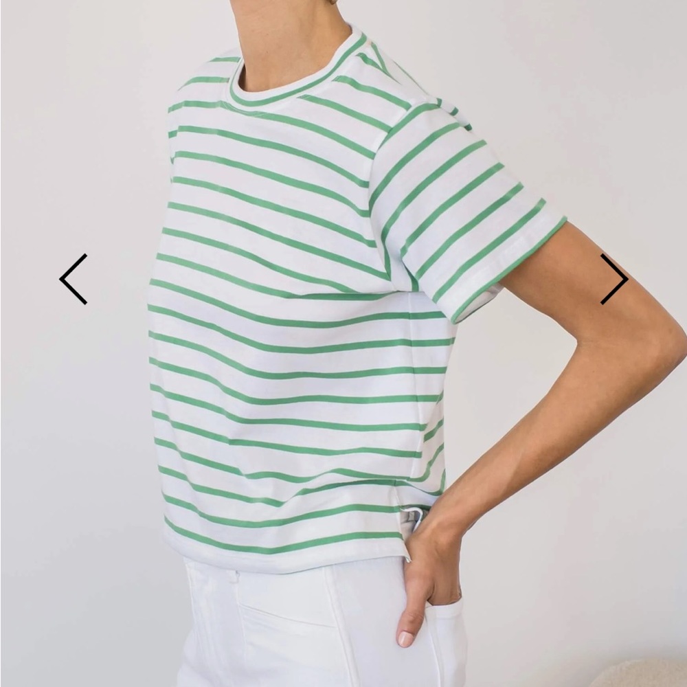 AYR Sno Cone Tee in Romaine